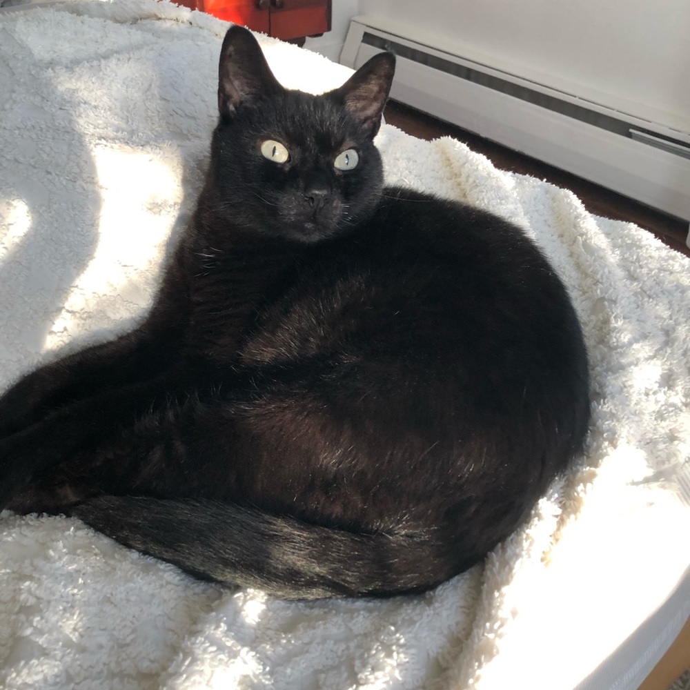 Meet your Posher, Erika